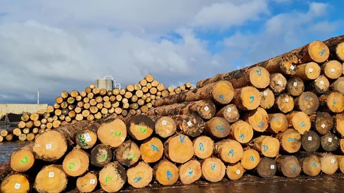 Mass Timber Construction Logs